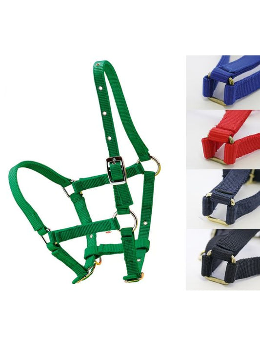 Capezza per puledri rder e horse