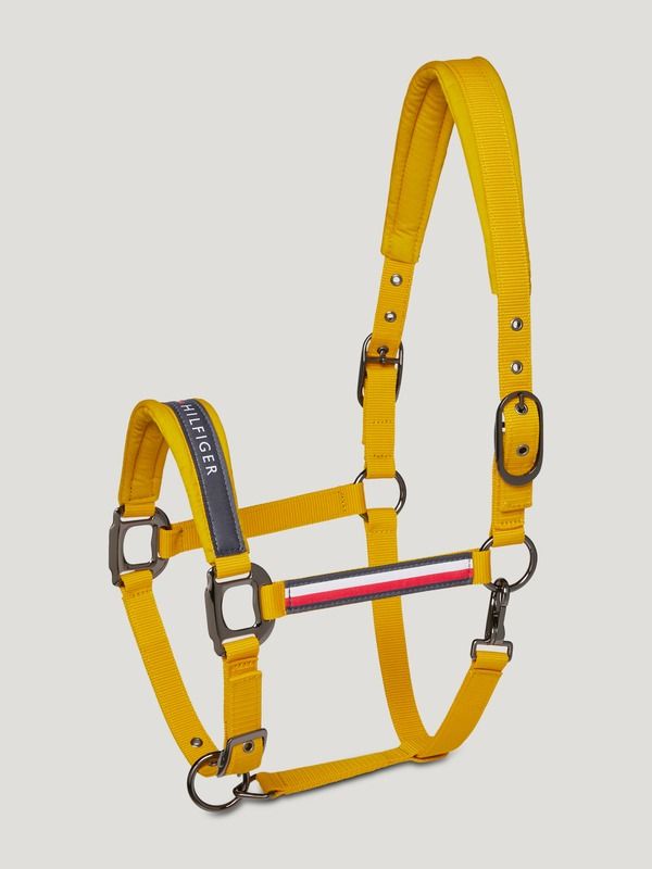Set capezza Yale rider e horse