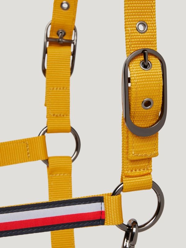 Set capezza Yale rider e horse