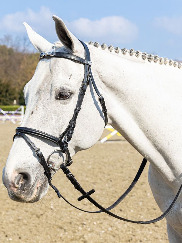 Testiera "morsetto nichelato" con redini rider e horse