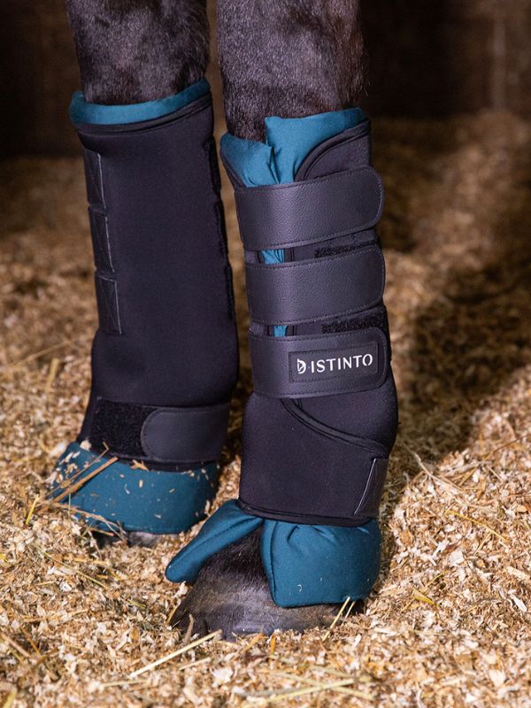 Stable boots D·ISTINTO rider e horse