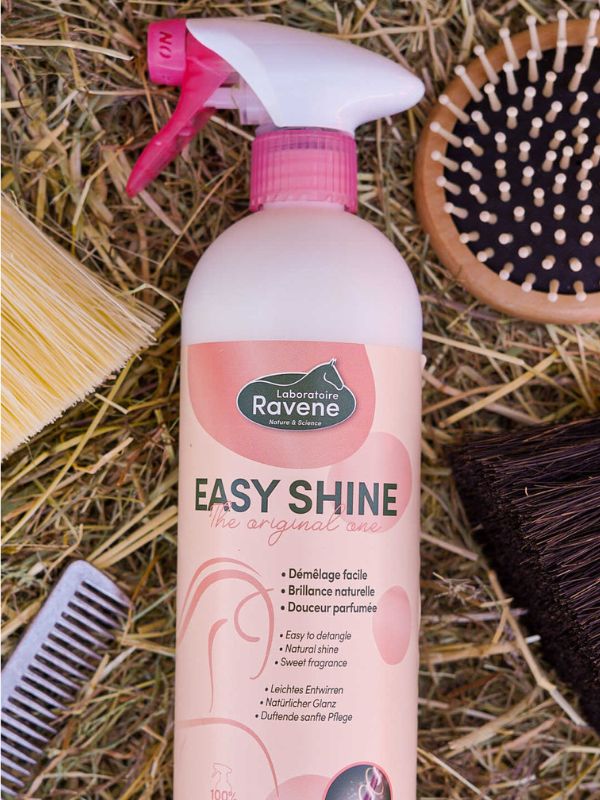 Districante Easy Shine rider e horse