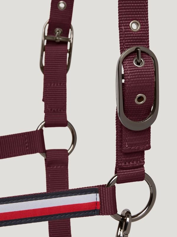 Set capezza Yale rider e horse