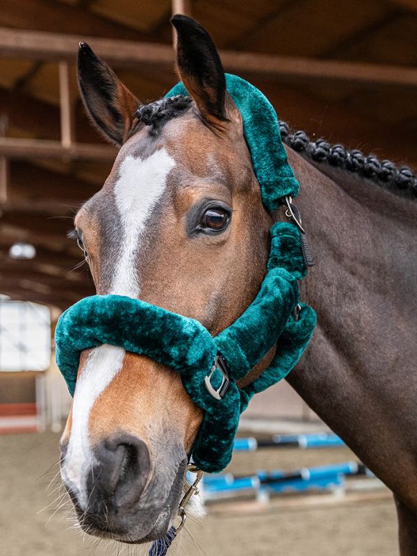 Capezza in agnello sintetico rider e horse