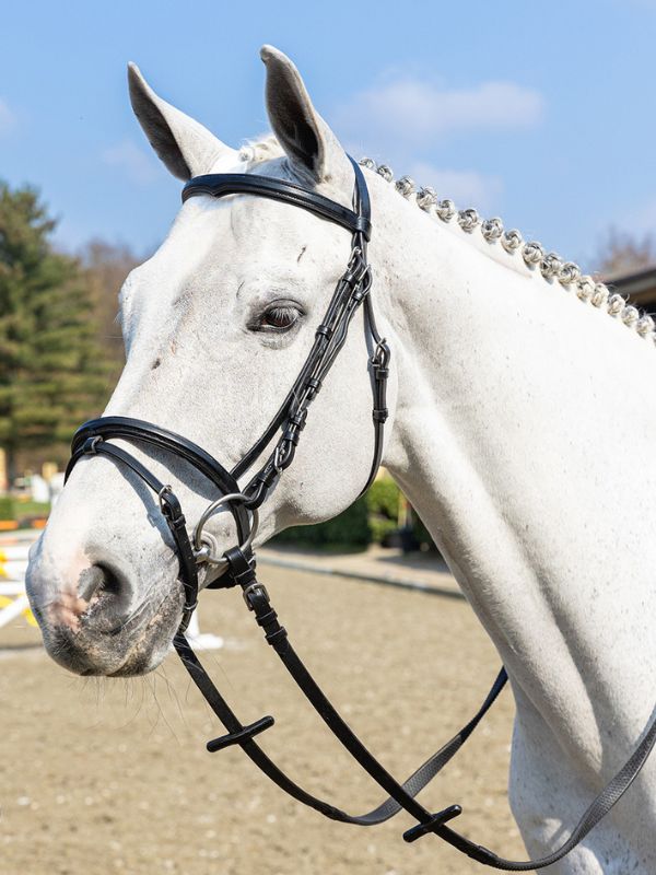 Testiera frontalino sagomato con redini rider e horse