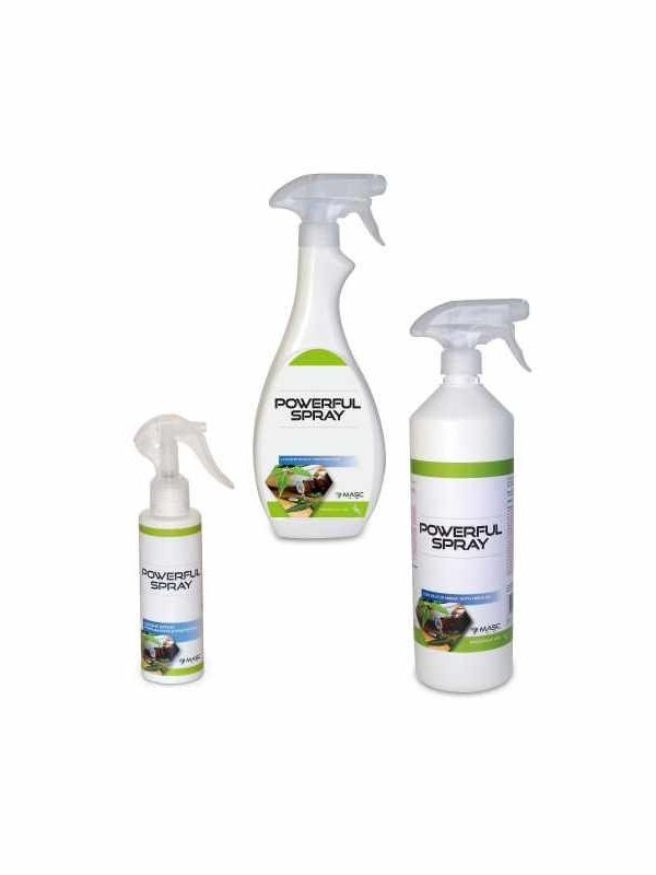 Powerfull spray rider e horse