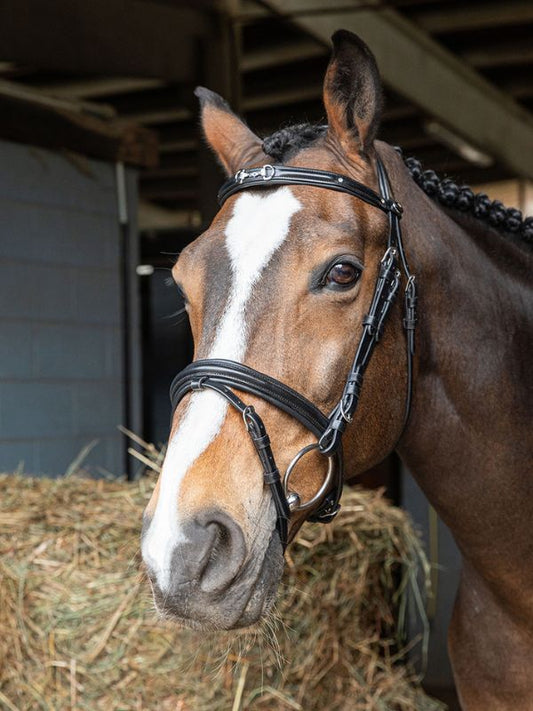Testiera "morso a strass" con redini rider e horse