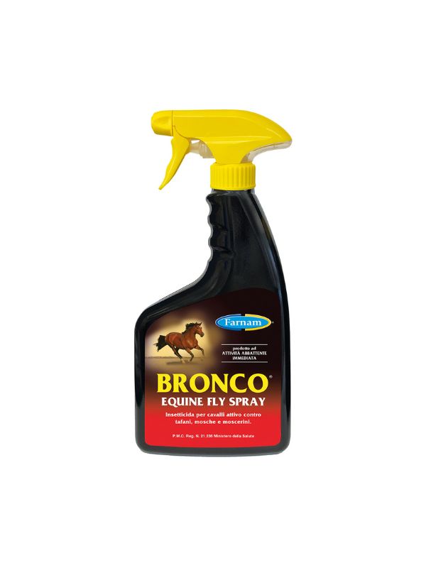 Bronco rider e horse