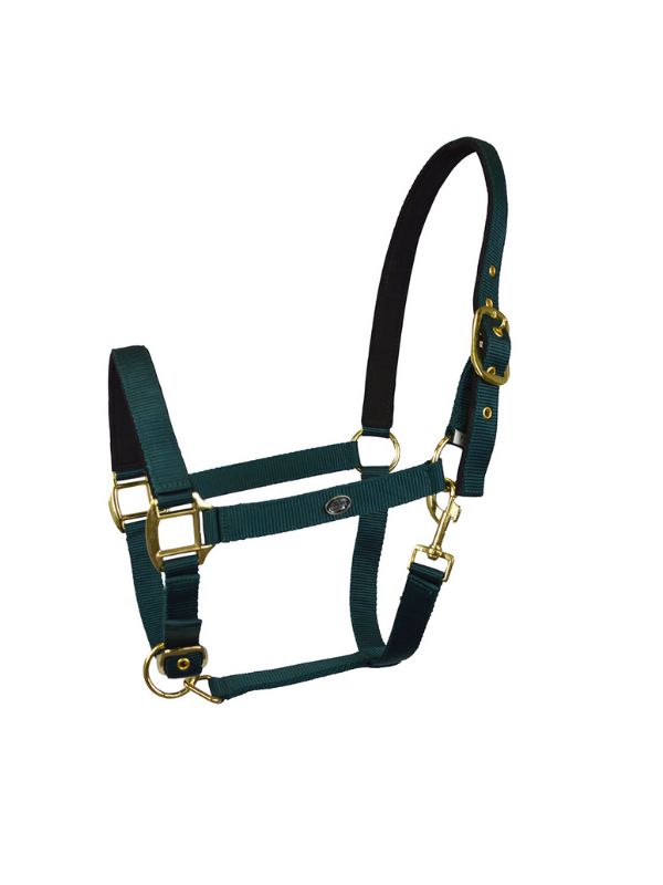 Capezza imbottita Winner rider e horse