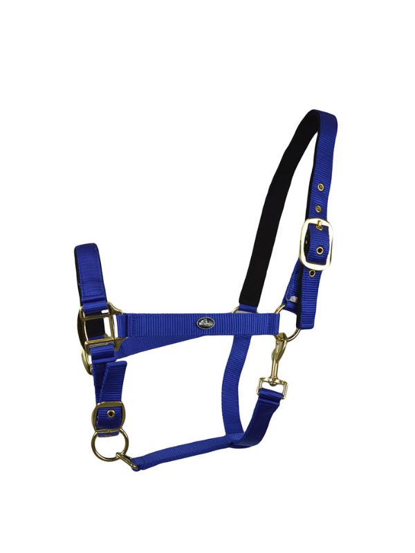 Capezza imbottita Winner rider e horse