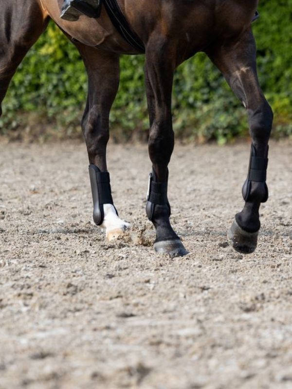 Paratendini "Protection boots F" Eskadron rider e horse
