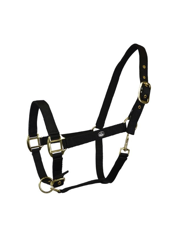 Capezza imbottita Winner rider e horse