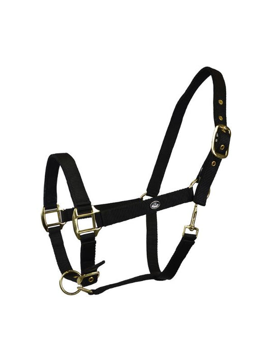 Capezza imbottita Winner rider e horse