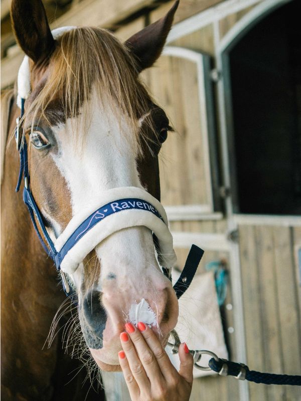 Crema solare rider e horse