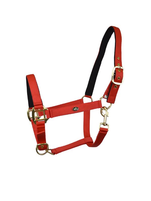 Capezza imbottita Winner rider e horse