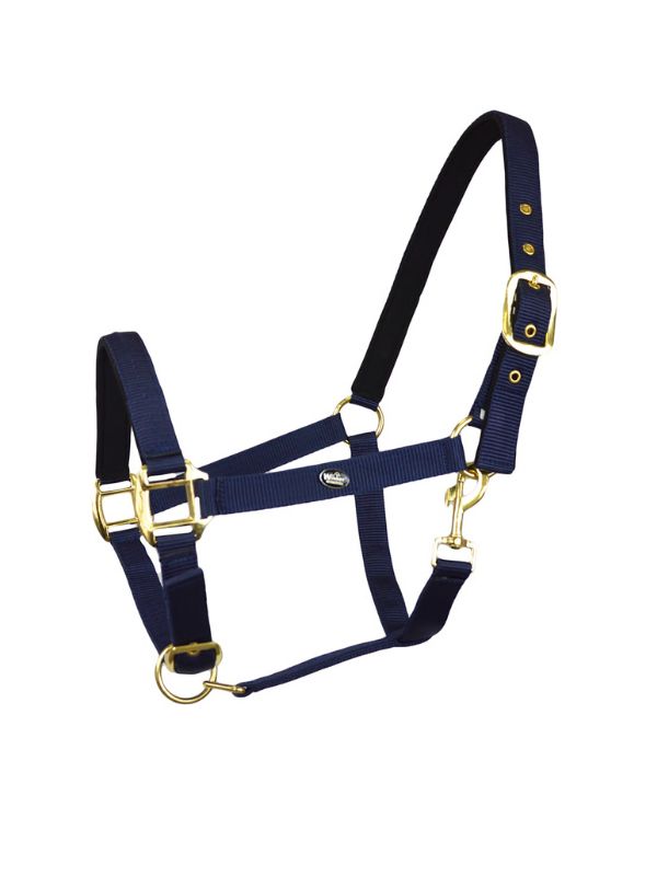 Capezza imbottita Winner rider e horse