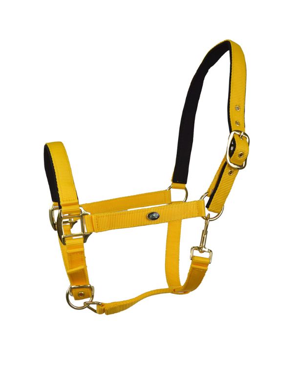 Capezza imbottita Winner rider e horse