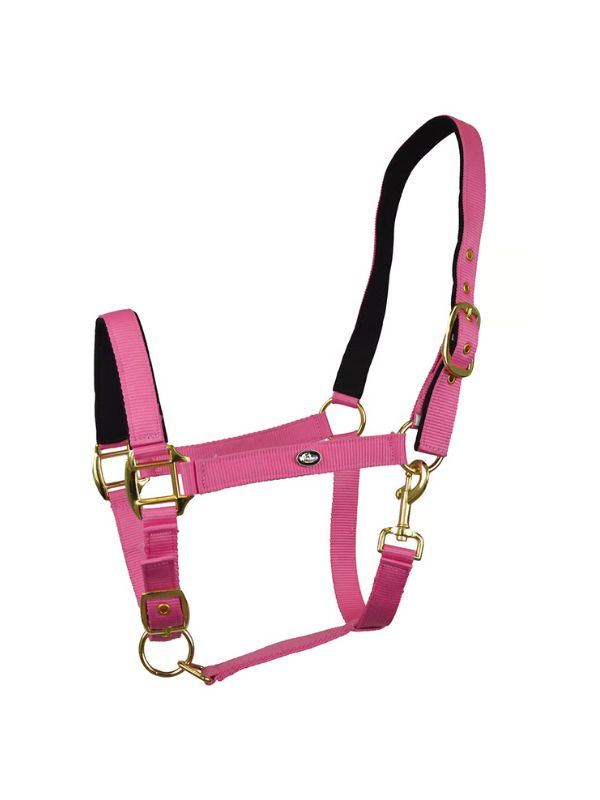 Capezza imbottita Winner rider e horse