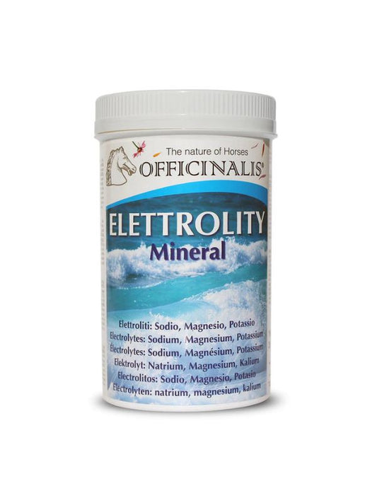 Elettrolity mineral rider e horse