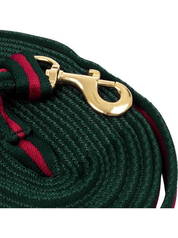 Padded nylon lunge rein with  attachment to halter