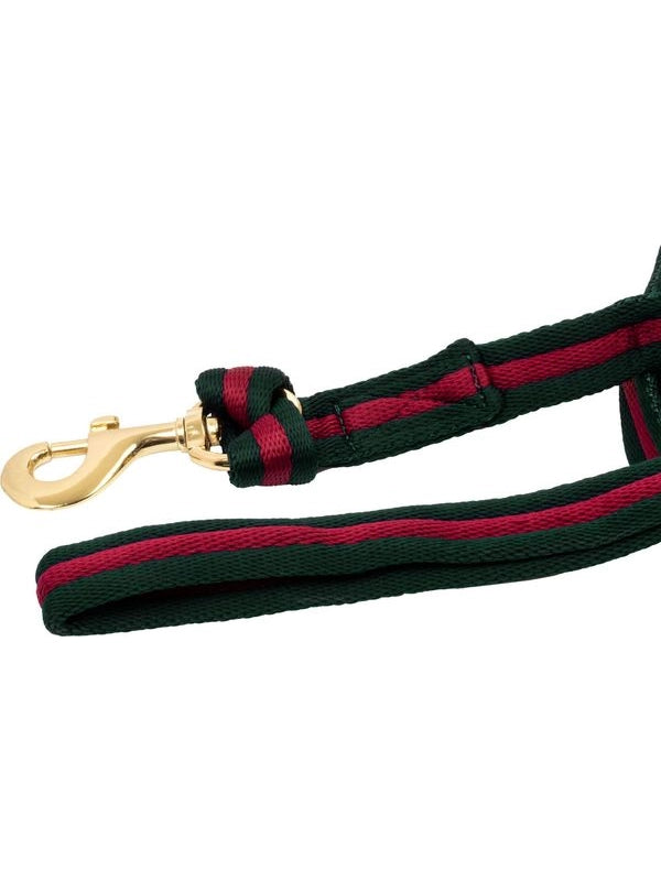 Padded nylon lunge rein with  attachment to halter
