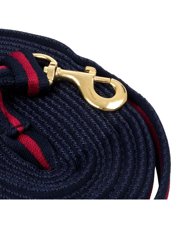 Padded nylon lunge rein with  attachment to halter