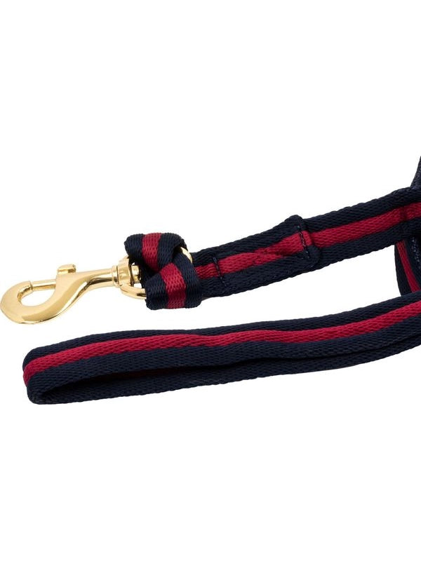 Padded nylon lunge rein with  attachment to halter