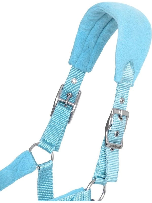 Nylon halter with fleece inserts + braided lead rope
