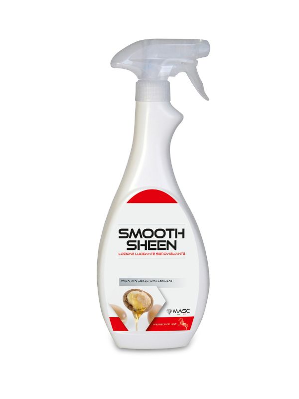 Smooth Sheen rider & horse