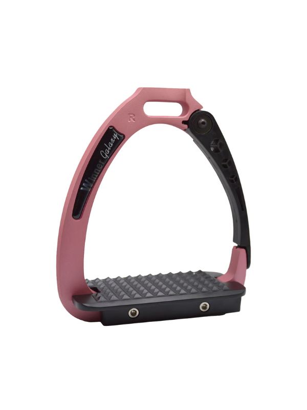 Staffe Galaxy young rider e horse