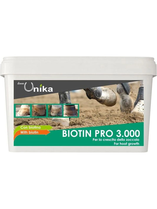 Biotin pro 3000 (1 kg)
