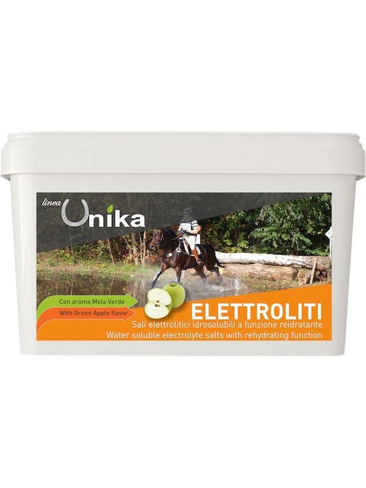 Endurance electrolyte (1 kg) lu0020