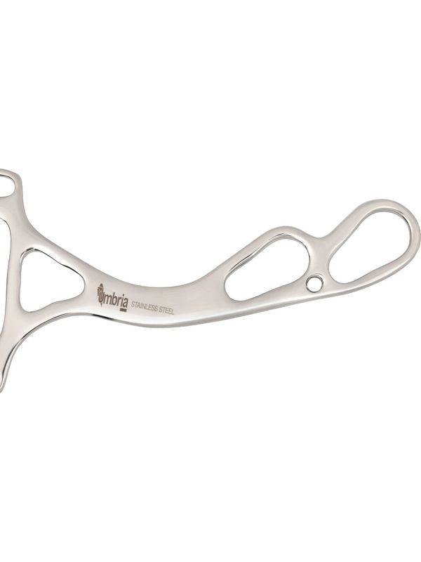 Hackmore in acciaio inox